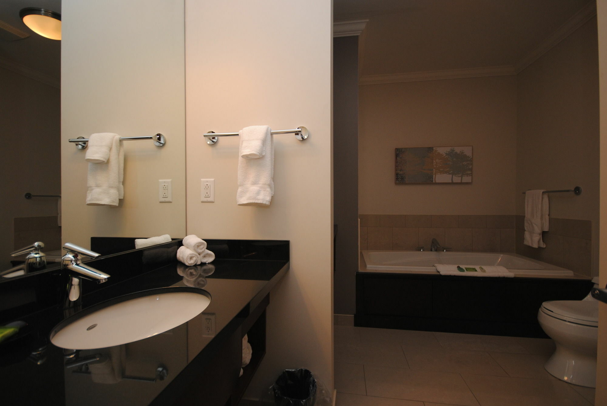 Premiere Suites - St. John'S Signal Hill Gate Eksteriør billede